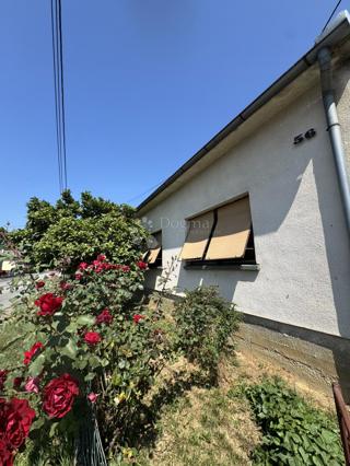 Casa Zvijerci, Bjelovar, 95m2