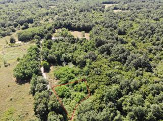 Terreno edificabile Poreč, 1.033m2