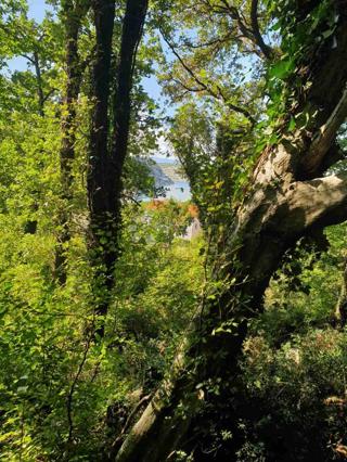 Terreno edificabile Bakarac, Kraljevica, 2.750m2