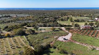 Terreno edificabile Vodnjan, 900m2