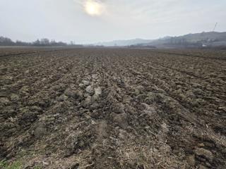 Terreno agricolo Luka, 3.766m2