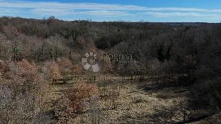 Terreno edificabile Orbanići, Žminj, 3.000m2