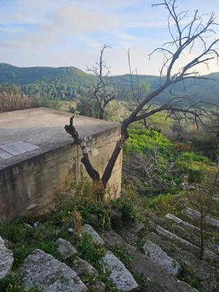 Terreno edificabile Babino Polje, Mljet, 394m2