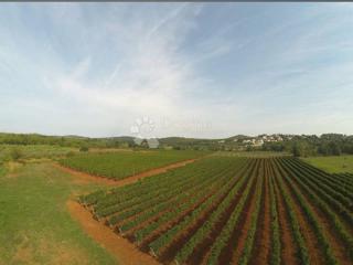 Terreno edificabile Fuškulin, Poreč, 8.596m2