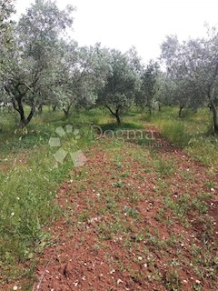 Terreno Fažana, 2.370m2