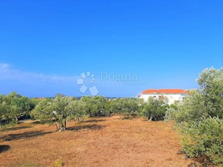 BELLISSIMO TERRENO AGRICOLO CON VISTA SU BRJUNE