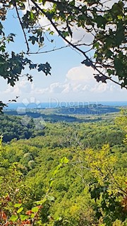 Terreno Buje, 18.000m2