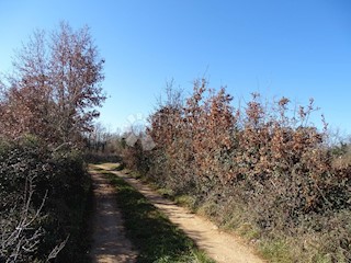 Terreno Žikovići, Višnjan, 4.311m2