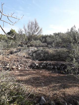 Terreno Tučepi, 762m2
