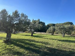 Terreno Galižana, Vodnjan, 3.567m2
