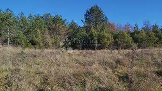 Terreno Trviž, Pazin - Okolica, 15.780m2