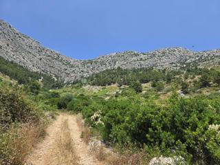 Terreno agricolo Ivan Dolac, Jelsa, 5.200m2