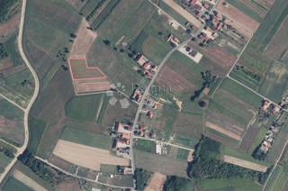 Terreno agricolo Odranski Obrež, Brezovica, 5.666m2