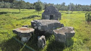 Terreno agricolo con casoni istriani e ulivi 13979 m2