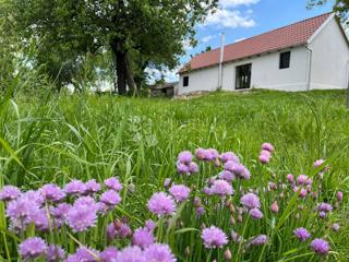 Casa Londžica, Našice, 208m2