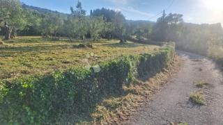 Terreno edificabile Pašman