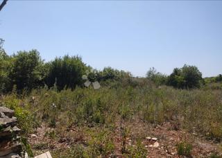 Terreno agricolo Galižana, Vodnjan, 50.000m2