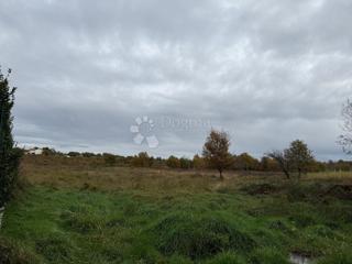 Ampio terreno agricolo a 700 m dal mare - Parenzo