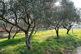 Terreno edificabile Vodnjan, 939m2