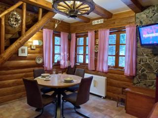 Autentica casa in legno con ampio terreno e centro benessere