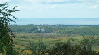 Terreno edificabile Buje, 1.473m2