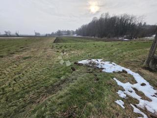 Terreno agricolo Luka, 3.766m2