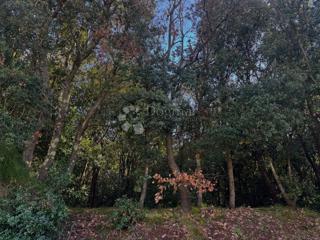 Terreno edificabile Veruda, Pula, 1.553m2