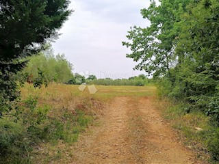 Terreno Peruški, Marčana, 600m2