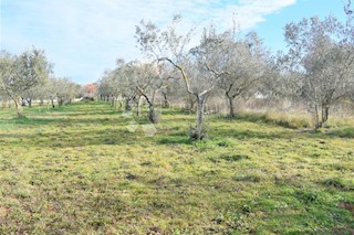 ESCLUSIVO TERRENO EDIFICABILE IN POSIZIONE MIGLIORE