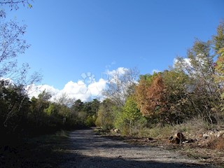 Terreno Lupoglav, 13.000m2