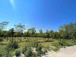 Terreno Barban, 1.246m2