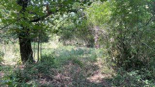 ISTRA, PIĆAN - Ampio complesso di terreno in una posizione tranquilla