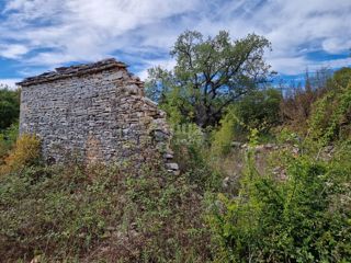 ISTRIA, SVETVINČENAT - Casa in rovina su un terreno di 2,1 ha