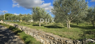 Terreno Poreč, 1.369m2