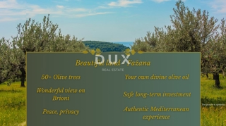 ISTRIA, FAŽANA - Bellissimo uliveto - OCCASIONE!