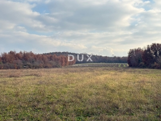 ISTRIA, PARENZO - Ampio terreno agricolo