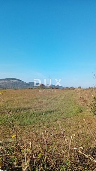 ZADAR, RAŠTANE DONJE - Terreno agricolo 5062 m2