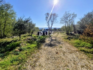 ISOLA DI KRK, LINALDIĆI - terreno agricolo 4812 m2