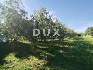 ISTRIA, MEDOLINO - Terreno agricolo con due edifici legalizzati!