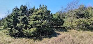 Terreno Rabac, Labin, 9.773m2