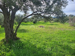 Terreno Bibinje, 1.380m2