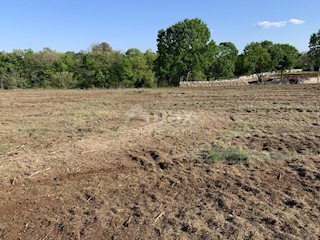 Terreno Barban, 13,79m2