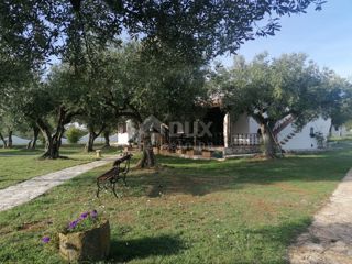 ISTRIA, GALIŽANA - Una casa rustica unica con vista sulle Isole Brioni!