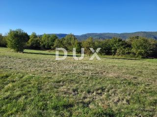 ISTRIA, MOTOVUN - Complesso di terreni edificabili e agricoli con vista su Montona