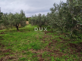 ISTRIA, PREMANTURA - Terreno edificabile 1615m2