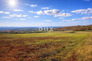 ISTRIA, VIŽINADA - Proprietà agricola con potenziale