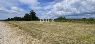 ISTRIA, ŽMINJ - Terreno edificabile con vista sulla natura