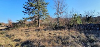 Terreno Grožnjan, 1.043m2