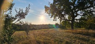 ISTRIA, OPRTALJ - Casa in pietra in una bellissima tenuta