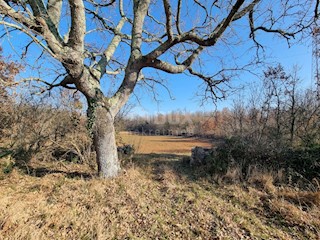 Terreno Vodnjan, 45.472m2